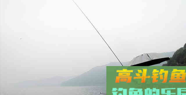 钓友问：为啥用红虫一条接一条，用饵料钓不到鱼