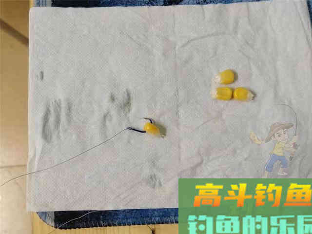 手竿钓颗粒攻略，小鱼咬不到大鱼跑不掉