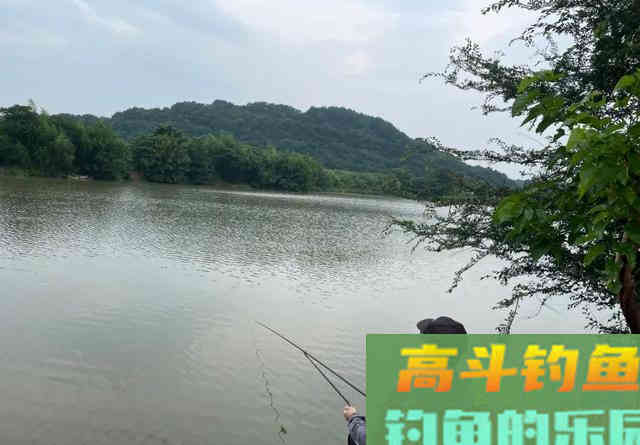 天气闷热鱼不开口咋办？试试这几招