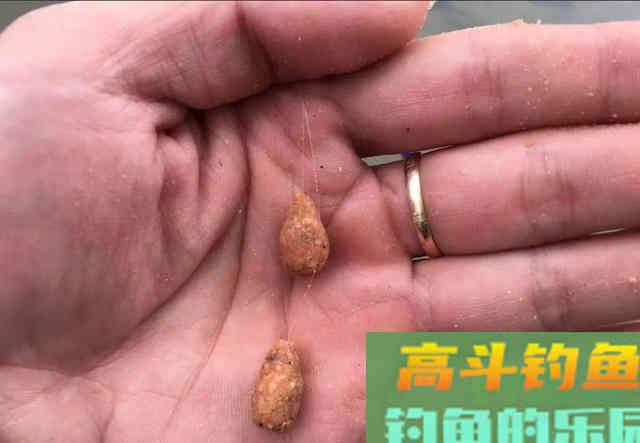 野钓很牛的一款饵料，自己在家就能做