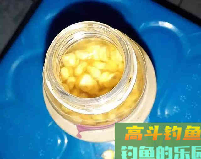 掌握泡和煮，加工出来的玉米，不愁大鱼不进窝