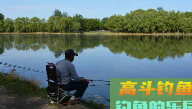 是否要露出钩尖，要从鱼种、饵料、垂钓水域方面入手