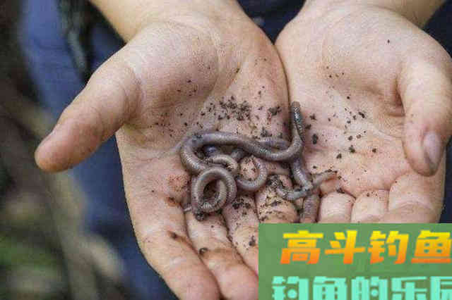 试过才知，这3种开饵水非同一般，连老钓手都拍手叫好