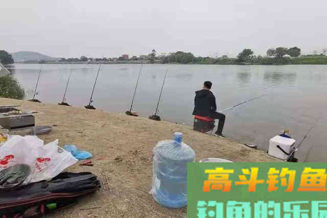 钓诱鱼唯独这套路才最靠谱