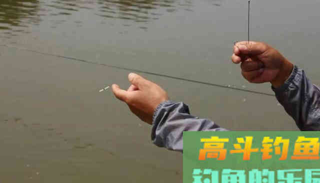 子线粗了会挡口？想多钓鱼，这样选用子线才是王道