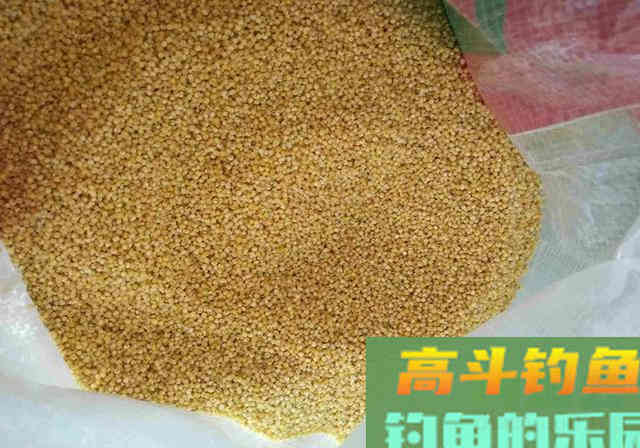渔具店老板教您做窝料，诱鱼快留鱼久