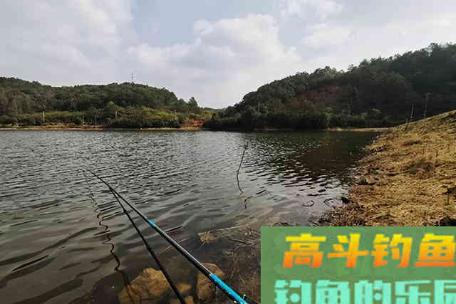 会钓鱼的一根杆，不会钓鱼的杂货铺