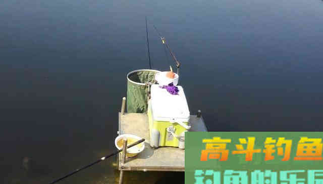 总是钓不到鱼？学会这5点，新手变高手