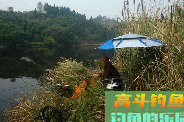 为了让窝里的底层鱼接触到钓饵，我找到了一个简单的方法