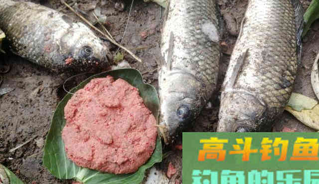 新手钓鱼最容易走进的三个误区