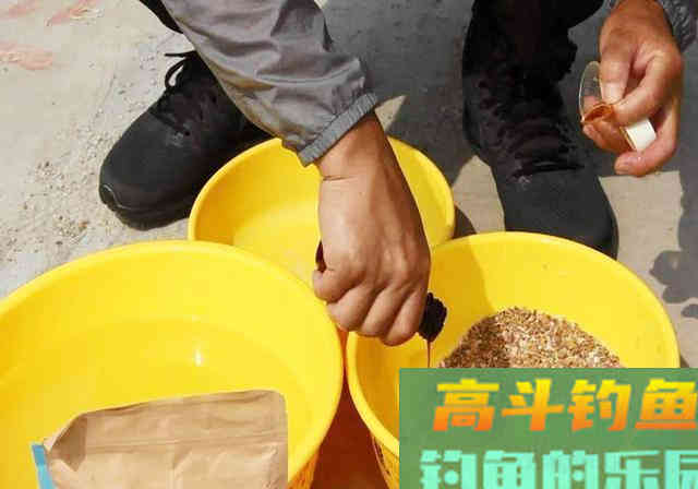 100块钓鱼小药和10块自制小药谁更强