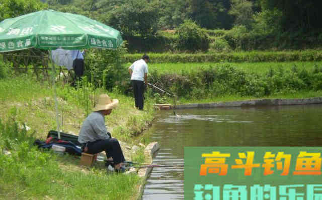 如何合理、有效的搭配鱼饵？科学用饵