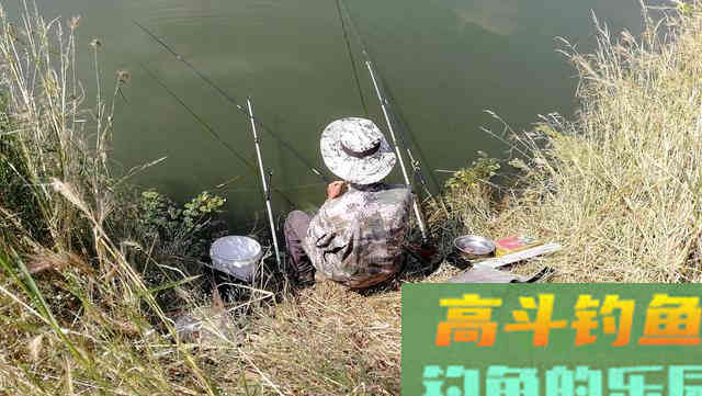 你比大爷钓鱼差的可能并不是钓技钓法