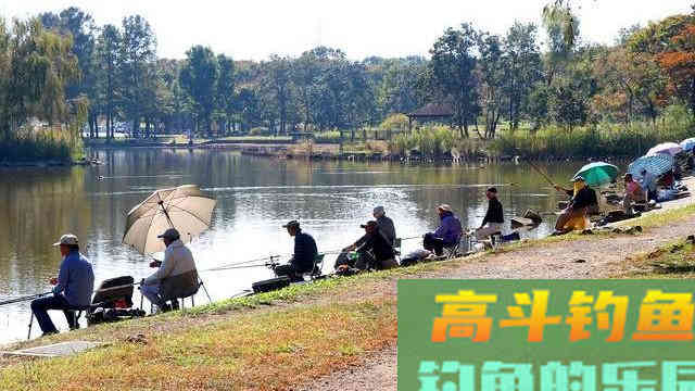 这三种判断鱼情的门道，没有十年钓龄基本做不到