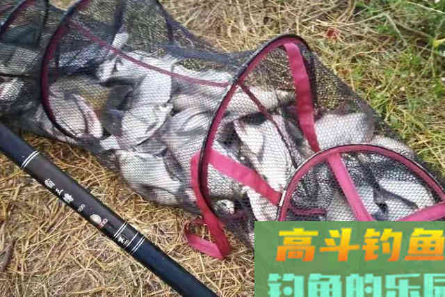 知道这4个用饵口诀的人，不是高手就是内行