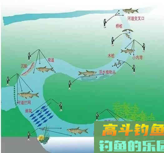 想要发窝快，窝料味型的浓度，得掌握一个度