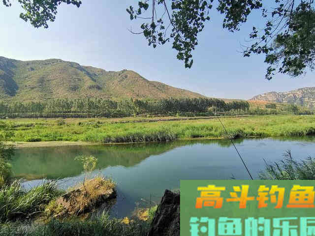 判断窝子里有没有鱼，这3个方法教会你