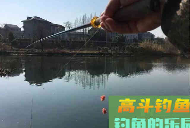 红虫和商品饵哪个效果更好
