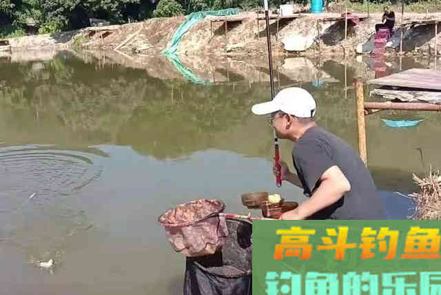 钓点处冒泡，就是不见有鱼吃钩？按我说的做