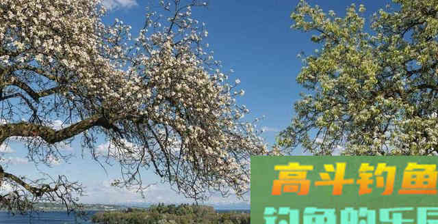 冷天钓鱼极易被忽略的3个好技巧,其他技巧都是辅助 冷天钓鱼极易被忽略的3个好技巧,其他技巧都是辅助