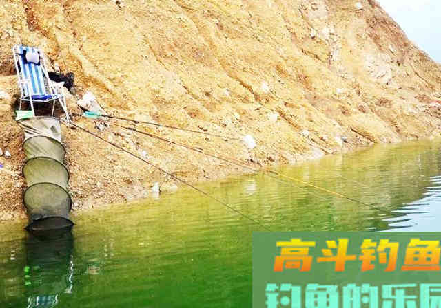 钓友突发奇想，用3000一斤的“臭丸虫”钓鱼