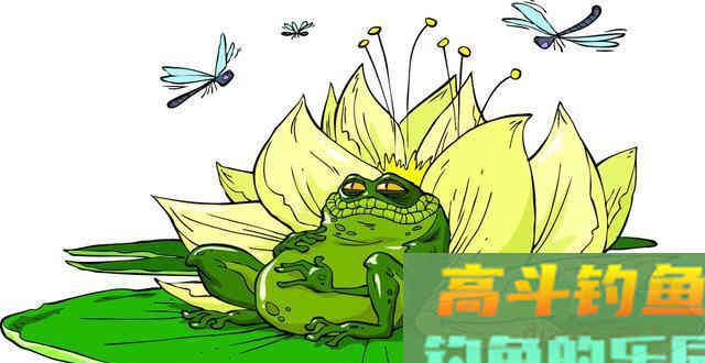 钓鱼中的行话有哪些？有些秘而不宣的行话却是钓技精髓