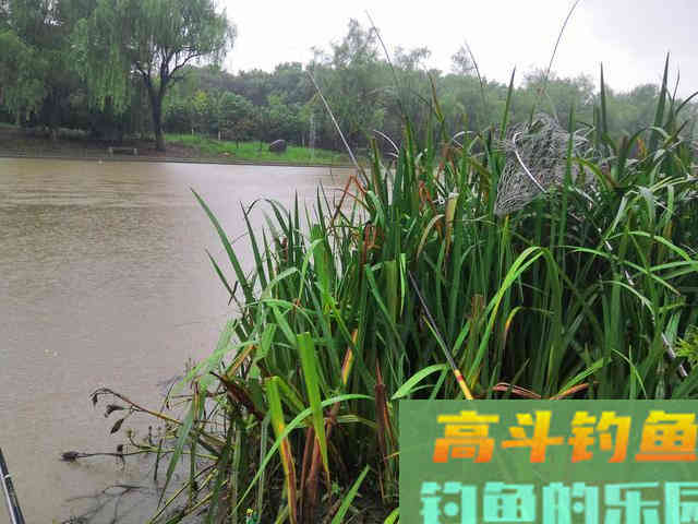 老钓友亲身经历分享