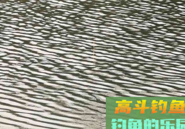大风大浪看不清浮漂怎么办？这个办法很好用