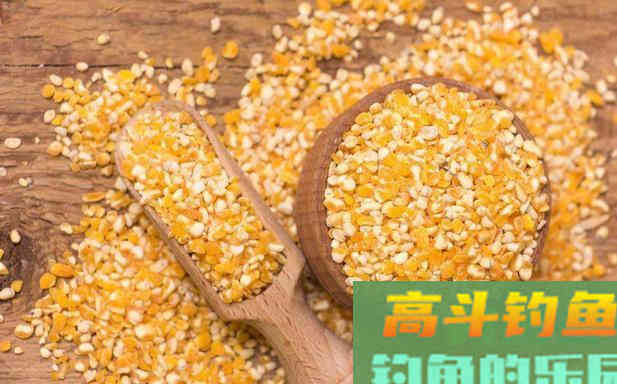掌握泡和煮，加工出来的玉米，不愁大鱼不进窝