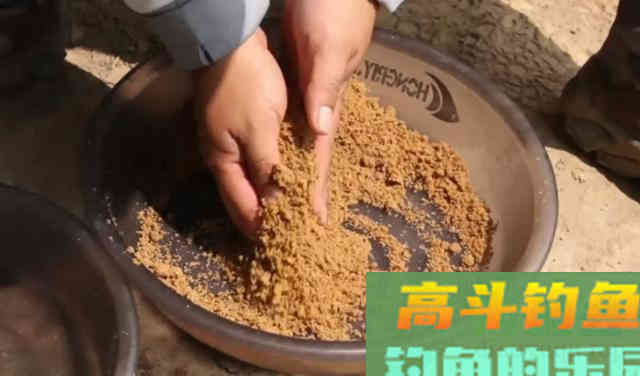 不同的鱼喜欢不同的饵料状态