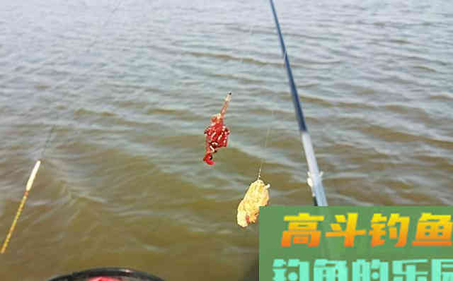 冬春用饵要冬甜春腥