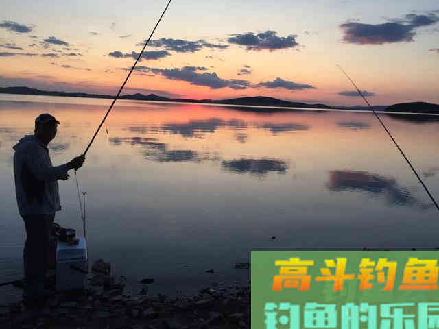 真的是早上鱼口最好吗？其实鱼的开口时间与水质关系很大