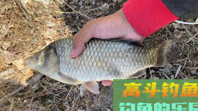 这些冬钓常识，老手必备，新手要学