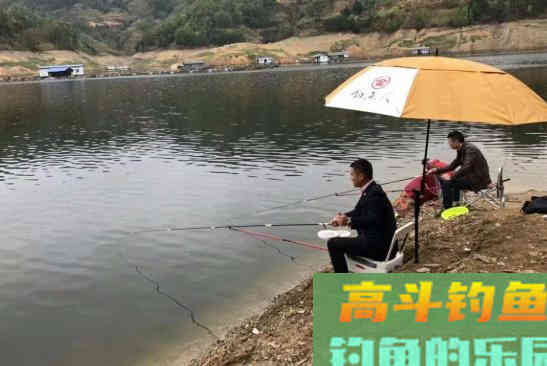 冬末春初，使用拉饵野钓的心得