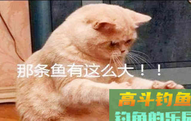 为什么说：钓鱼人的嘴不可全信
