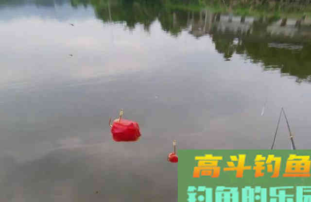 玉米如何挂钩命中率更高?挂钩方法并不重要 玉米如何挂钩命中率更高?挂钩方法并不重要