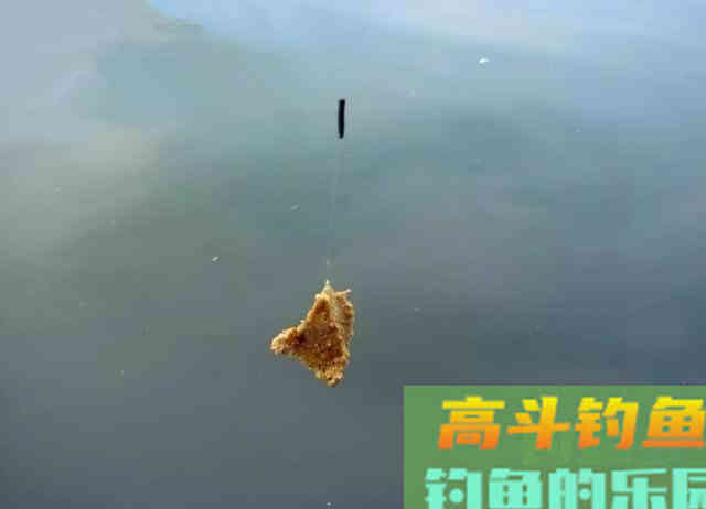 红虫颗粒这么用，诱鱼效果比红虫的效果还要好一些