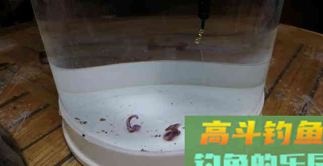 详解钩饵在水底常见的五种状态，一般钓友还真不知道