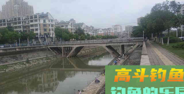 退水后鱼该怎么钓呢