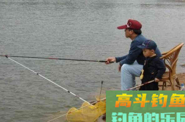 自己做窝，专钓大鲫鱼