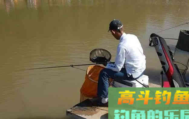 红蚯蚓，黑蚯蚓，都是蚯蚓，钓鱼还有区别