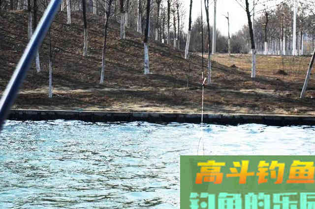 钓鱼打窝，每次我都用这一招