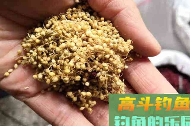 钓草鱼，换用这种打窝诀窍，刚下钩就直接黑漂