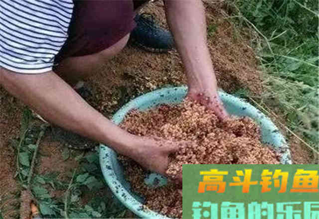 菜籽饼打窝没鱼口？加上这些，钓鲫、钓鲤都可以