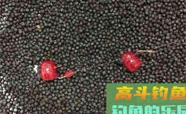 民间蘸饵钓技巧：蘸粉、蘸颗粒、蘸液体