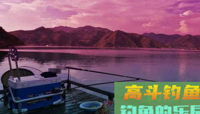 为什么别人能连竿，你却钓不到鱼