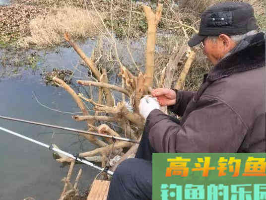 红虫和商品饵哪个效果更好