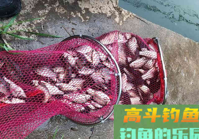 陌生水域垂钓，钓友记牢这套攻略，钓到鱼并不难