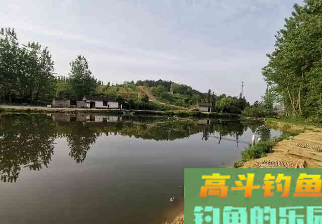 当山奈遇上丁香，一款简单又好用的钓鱼药酒就诞生了