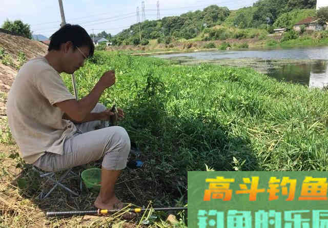 窝中来了大鱼，这几个坏习惯要改改